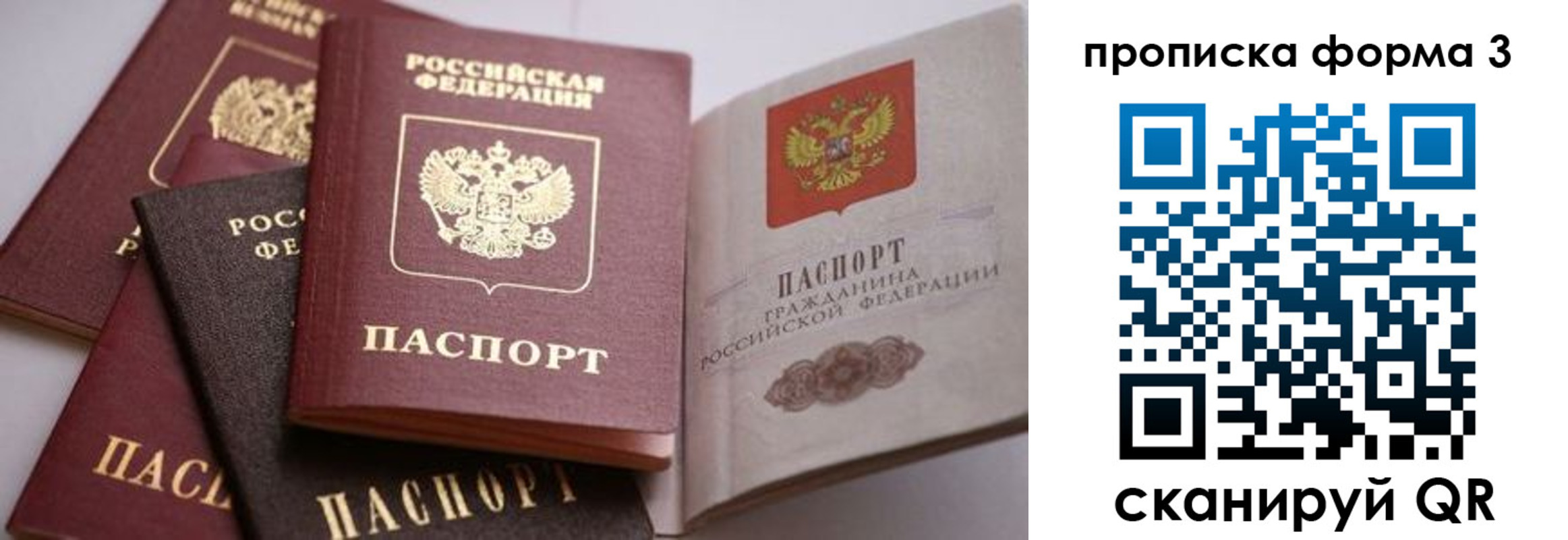 прописка для школы в Скопине